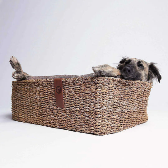 Cloud7 hundeseng, Hideaway, Plum Cloud7