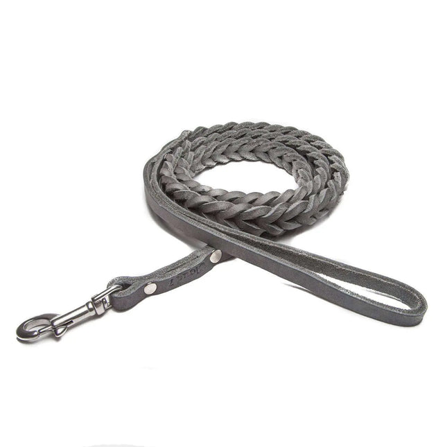 Cloud7 hundesnor, Central Park, Elephant Cloud7