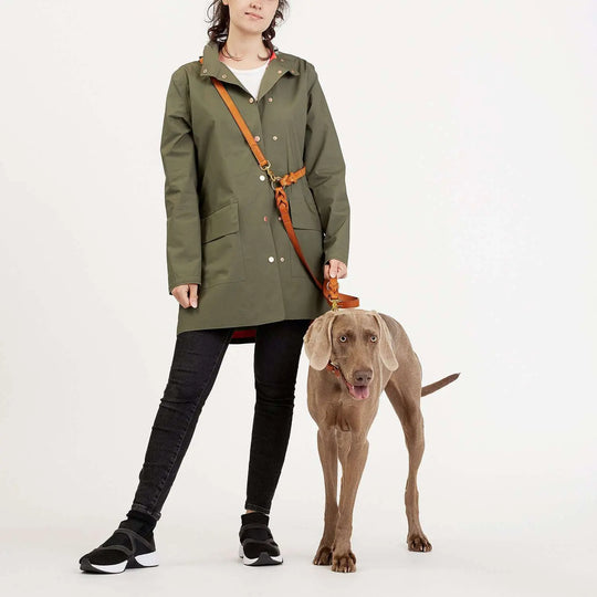 Cloud7 hundesnor, Hyde Park, Sort Cloud7