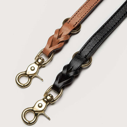 Cloud7 hundesnor, Hyde Park, Sort Cloud7