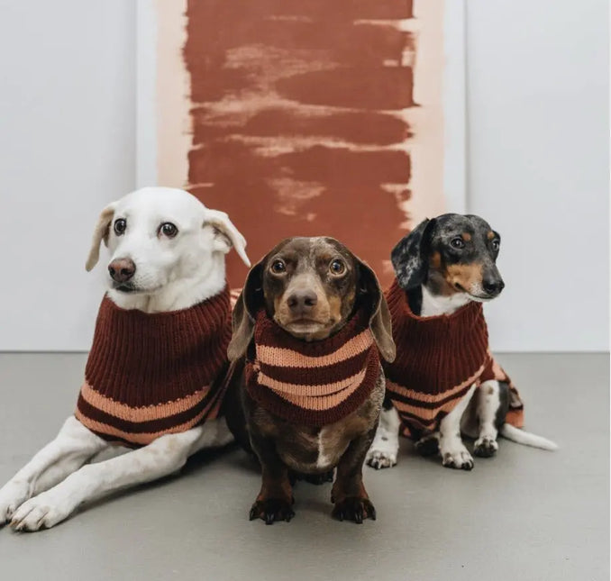 Cloud7 hundesweater, Helsinki, Navy/Cream Cloud7