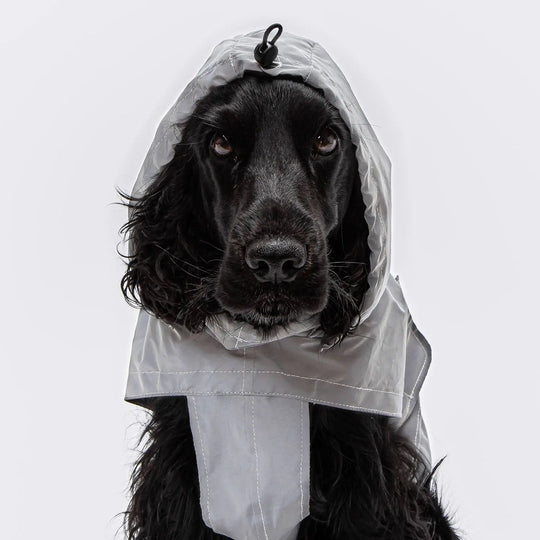 Cloud7 regnfrakke til hund, Berlin, reflective Cloud7