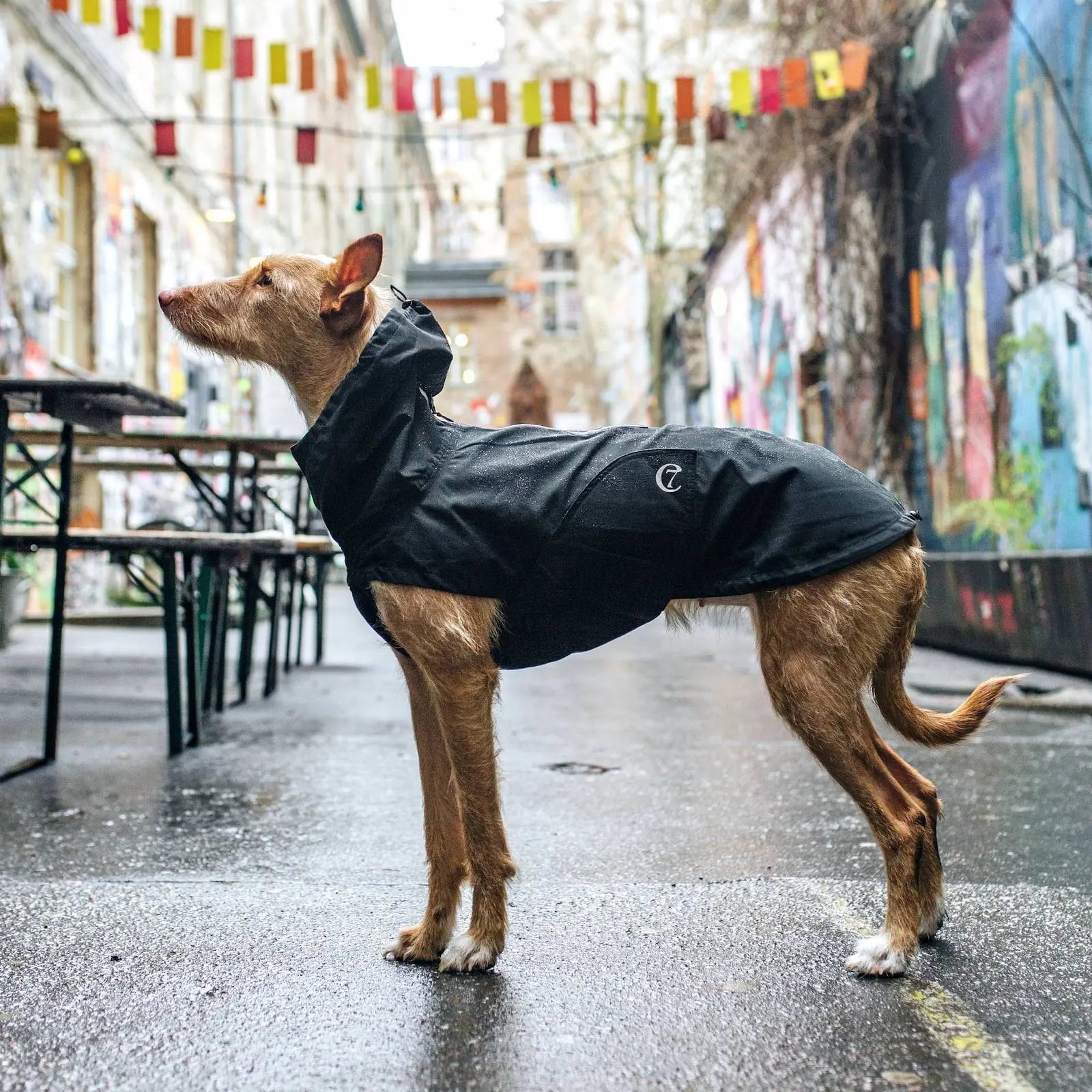 Cloud7 regnfrakke til hund, Dublin, Slate Luksushund