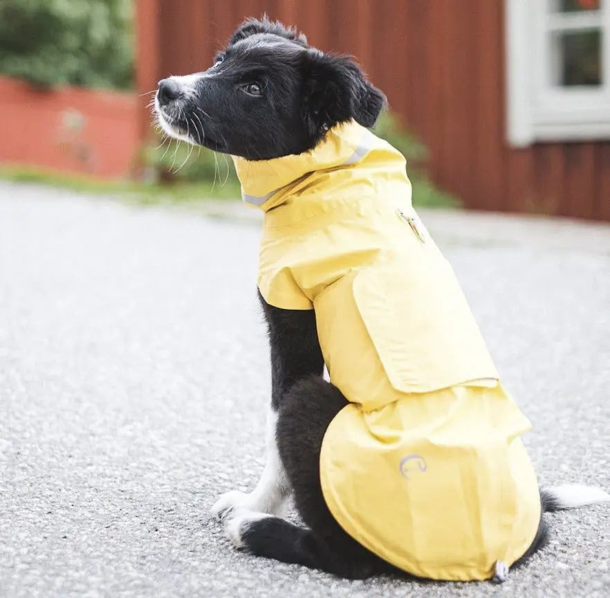Cloud7 regnfrakke til hund, Saffron – Luksushund