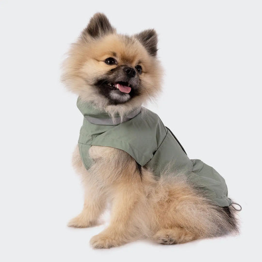 Cloud7 regnfrakke til hund, Hamburg, Saffron Cloud7