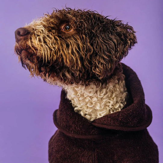 Cloud7 tørredækken og håndklæde Stone Cloud7