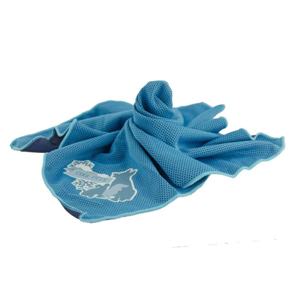 CoolPets Cooling Bandana CoolPets