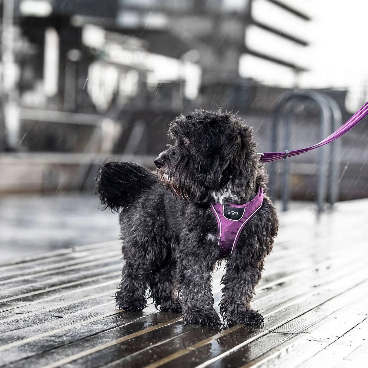 Dog Copenhagen Comfort Walk Go hundesele Classic Red Dog Copenhagen