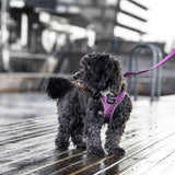 Dog Copenhagen Comfort Walk Go hundesele Mocca Dog Copenhagen