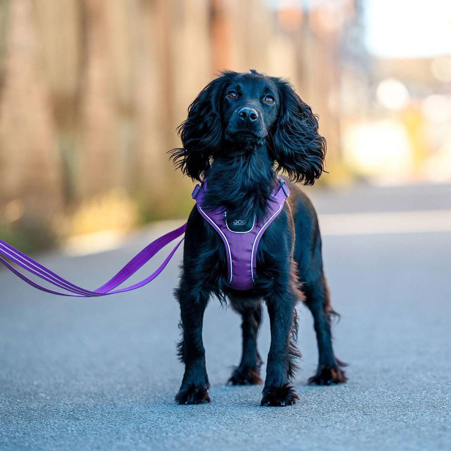 Dog Copenhagen Comfort Walk Go hundesele Sort Dog Copenhagen