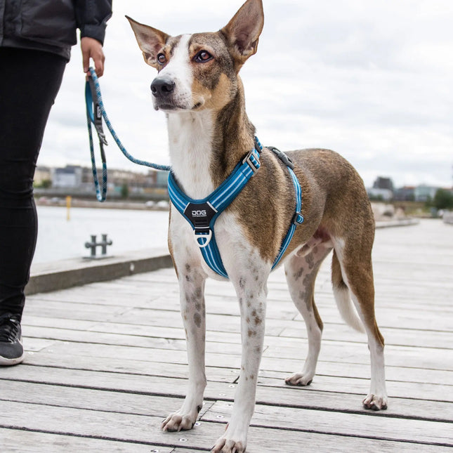 Dog Copenhagen Walk Air hundesele Classic Red Dog Copenhagen