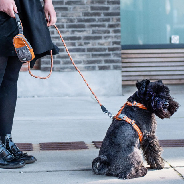 Dog Copenhagen Walk Air hundesele Classic Red Dog Copenhagen