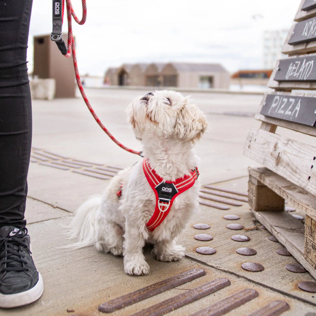 Dog Copenhagen Walk Air hundesele Classic Red Dog Copenhagen