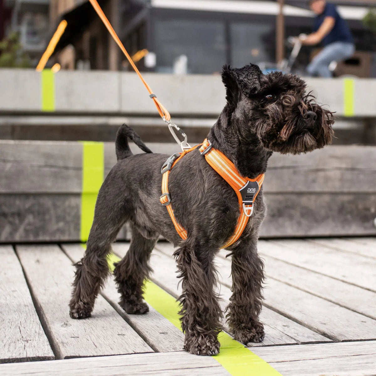 Dog Copenhagen Walk Air hundesele Wild Rose Dog Copenhagen