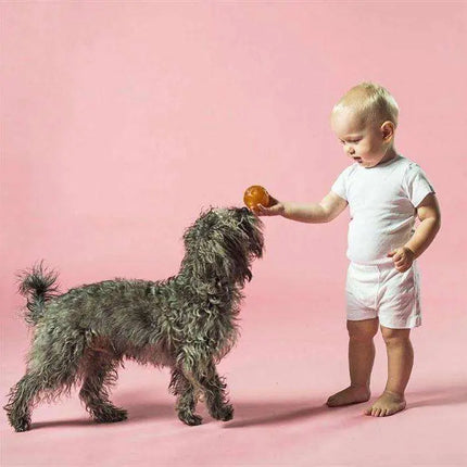 Hevea - Moon ball aktivitetslegetøj, natural Hevea