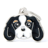 Hundetegn, Cavalier King Charles Spaniel My Family
