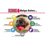 KONG Classic KONG