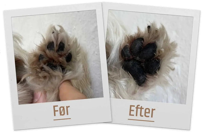 Natural Dog Company - Paw Soother Stick Natural Dog Company