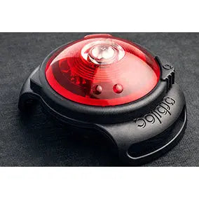 Orbiloc Buckle Orbiloc