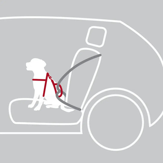 Sikkerhedssele til hund Trixie