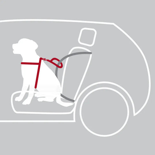 Sikkerhedssele til hund Trixie