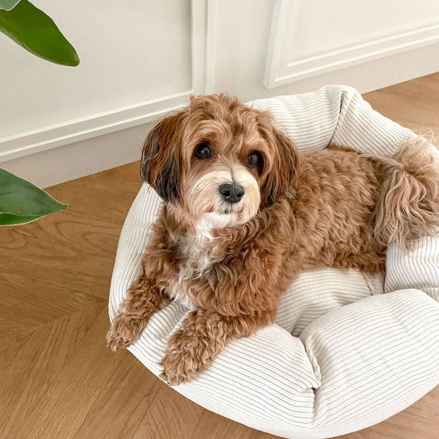 Staey Hundeseng Luna - Hvid Staey