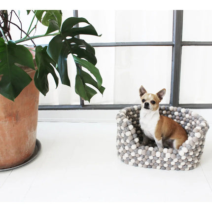 Wooldot hundekurv i uld, charcoal grey Wooldot