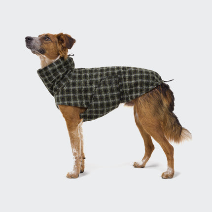 Cloud7 regnfrakke til hund, Glasgow, Plaid Green