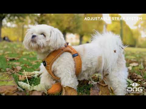 Dog Copenhagen Comfort Walk Go™ hundesele Ocean Blue