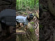 Cloud7 hundefrakke, Brooklyn, Skotsternet