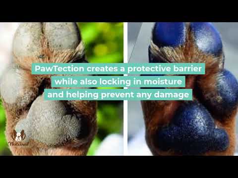 Natural Dog Company - PawTection Stick