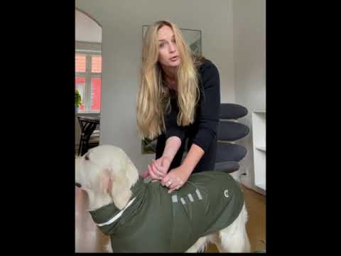 Cloud7 regnfrakke til hund, Hamburg, Moss Green