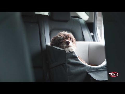 Bilsæde til lille hund
