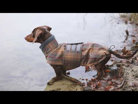 Cloud7 hundefrakke til gravhund, Brooklyn, Grå