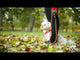 Dog Copenhagen Walk Air™ hundesele Orange Sun